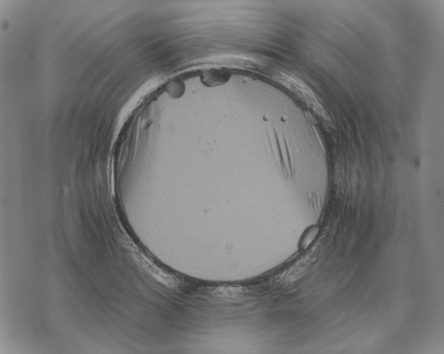 X0000075811180200610151422