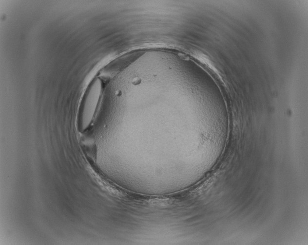 X0000075811181200610151422