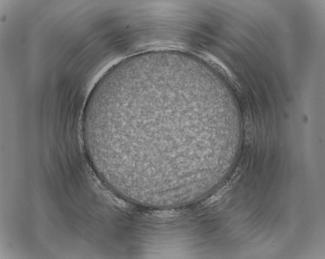 X0000075811182200610151422