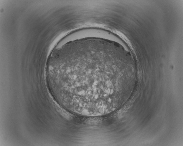 X0000075811183200610151422