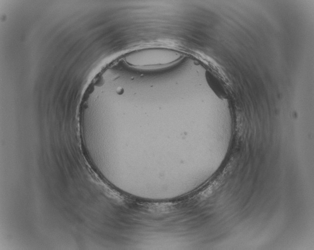 X0000075811184200610151422