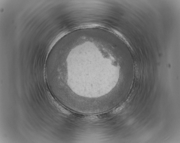 X0000075811186200610151422