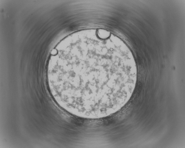 X0000075811187200610151422