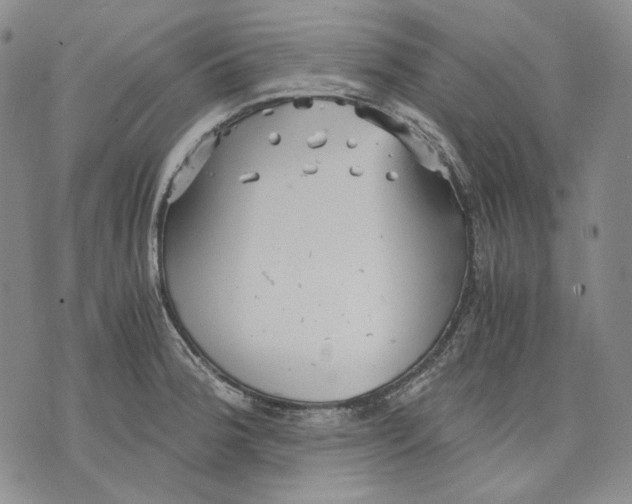 X0000075811188200610151422