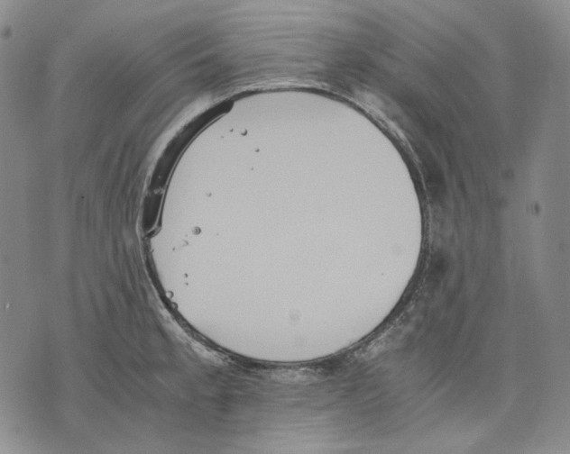 X0000075811189200610151422