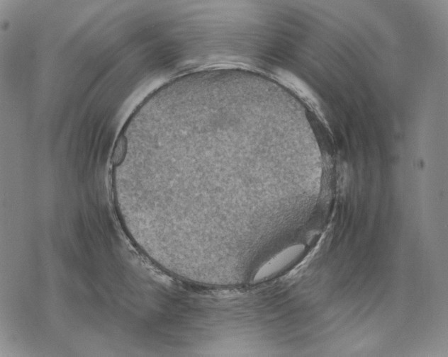 X0000075811190200610151422