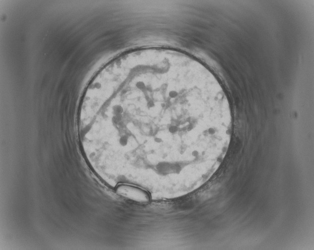 X0000075811191200610151422