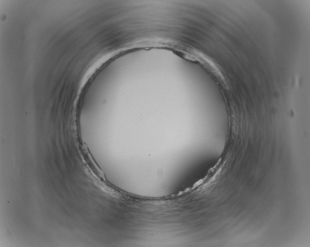 X0000075811192200610151422