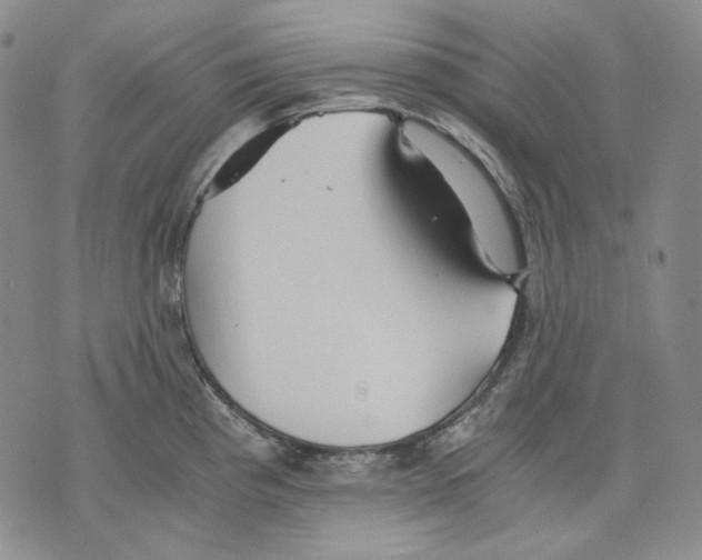 X0000075811193200610151422