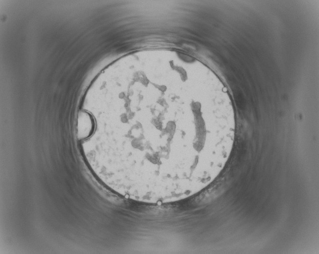 X0000075811195200610151422