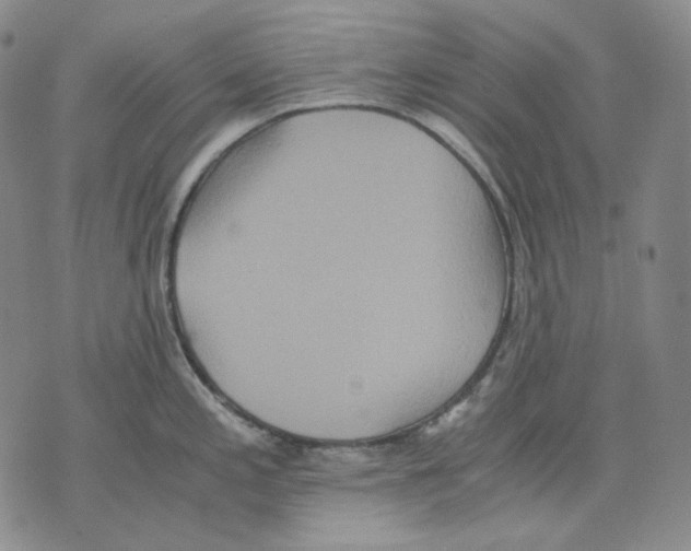 X0000075811197200610151422