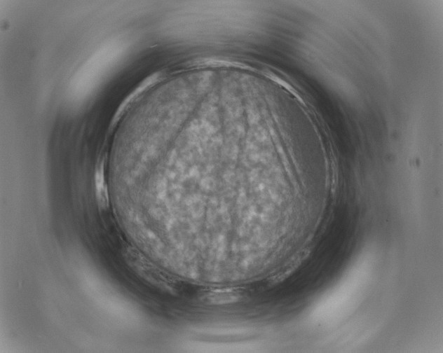 X0000075811198200610151422