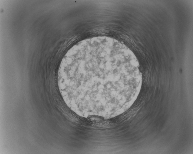 X0000075811201200610151421