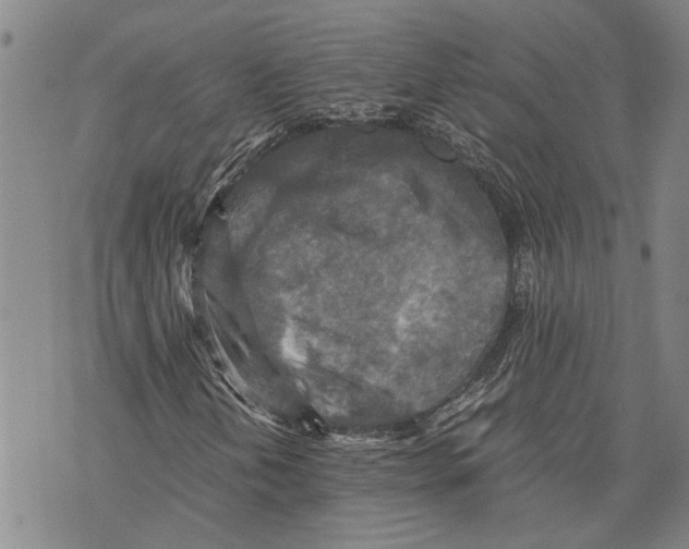 X0000075811202200610151421