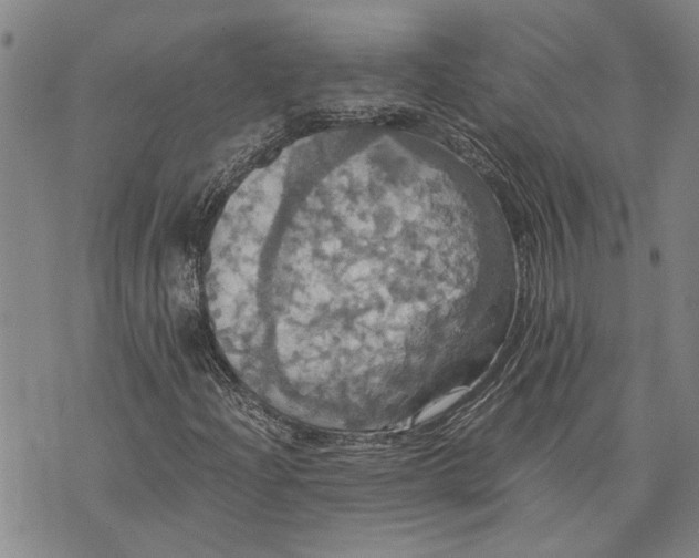 X0000075811204200610151421