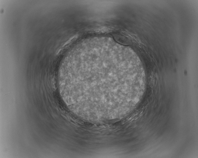 X0000075811205200610151421