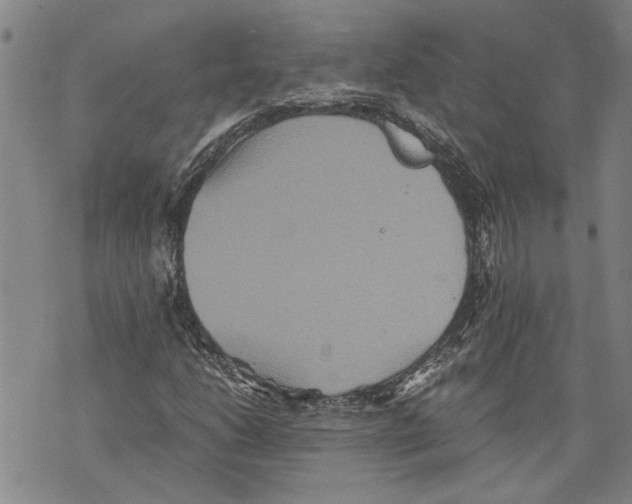 X0000075811206200610151421