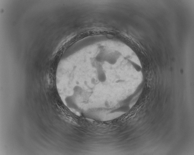 X0000075811207200610151421