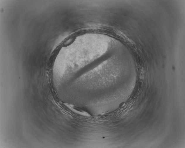 X0000075811208200610151421