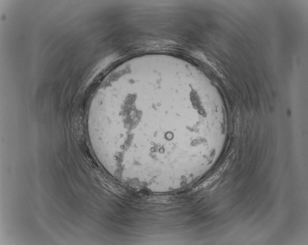 X0000075811211200610151421