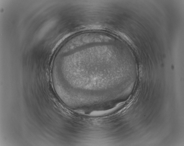 X0000075811212200610151421