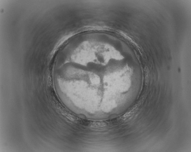 X0000075811215200610151421