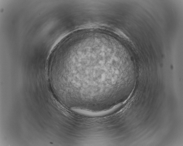 X0000075811216200610151421