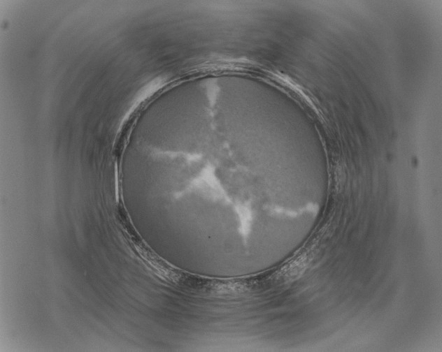 X0000075811219200610151421