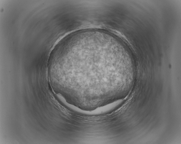 X0000075811220200610151421