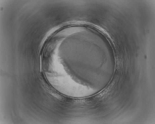 X0000075811223200610151421