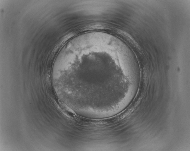 X0000075811225200610151421