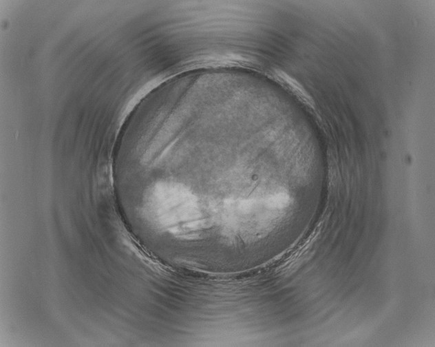 X0000075811226200610151421