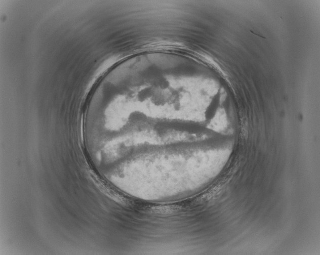 X0000075811227200610151421