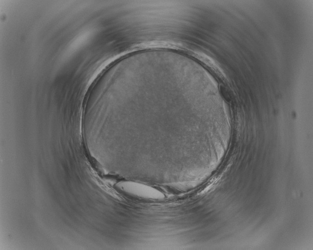 X0000075811228200610151421