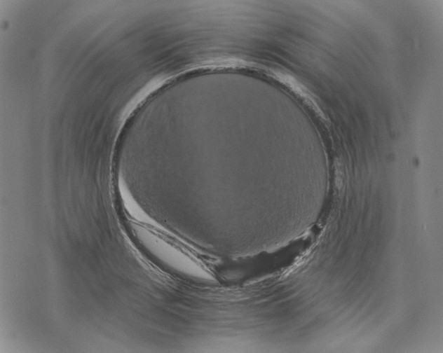 X0000075811229200610151421