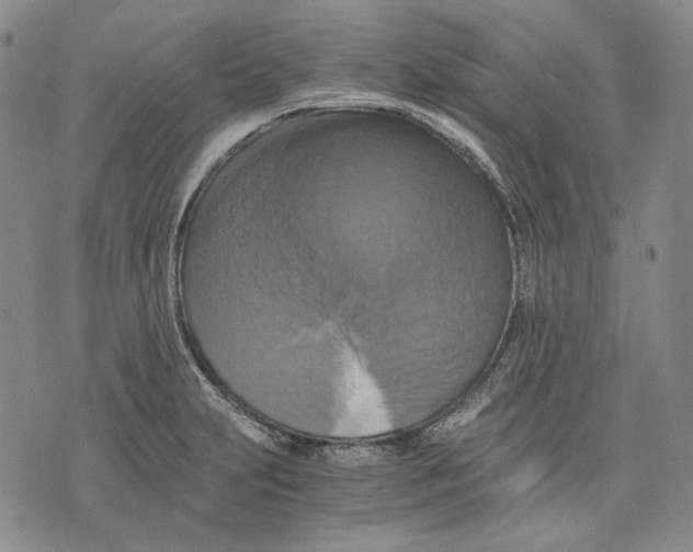 X0000075811231200610151422