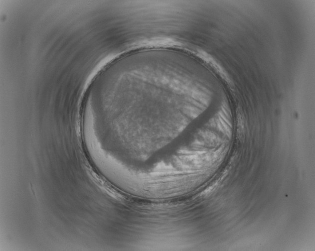 X0000075811232200610151422