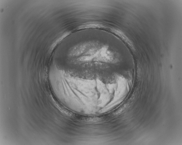 X0000075811233200610151422