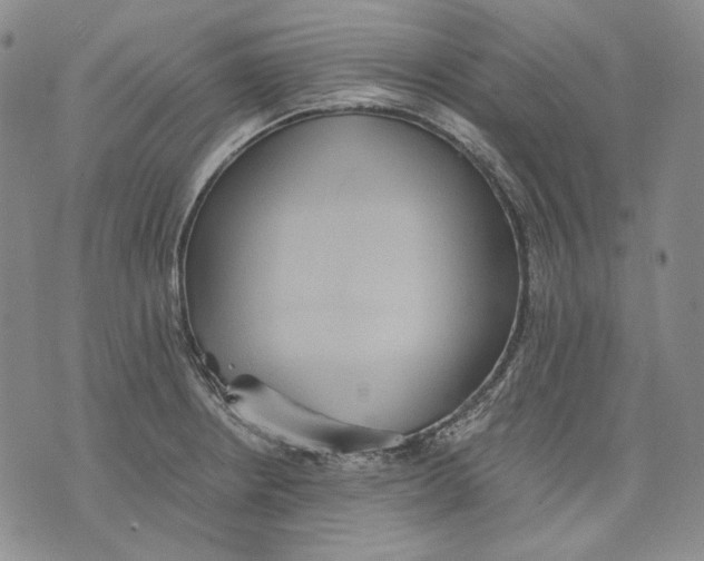 X0000075811234200610151422