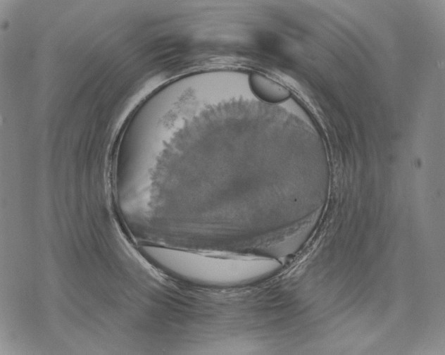 X0000075811235200610151422