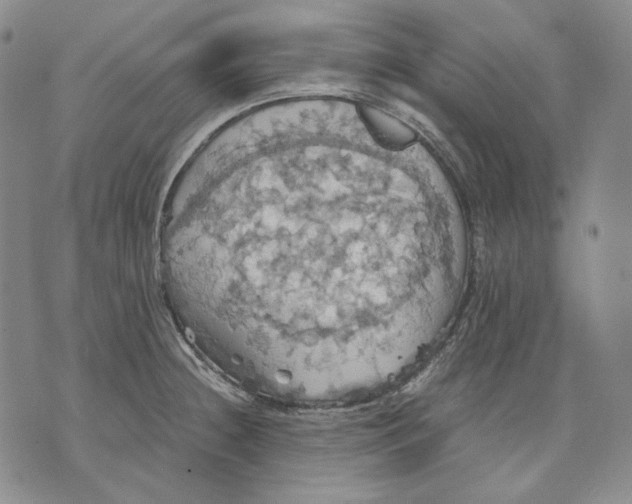 X0000075811236200610151422