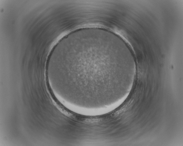 X0000075811237200610151422