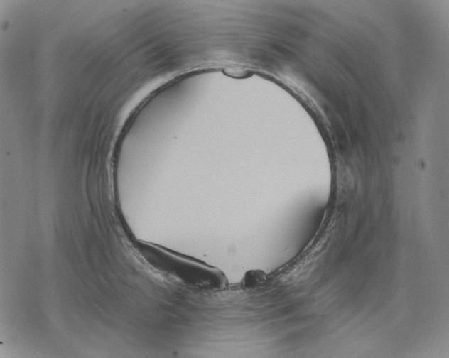 X0000075811238200610151422