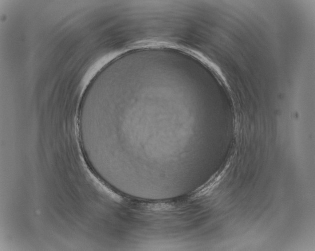 X0000075811239200610151422