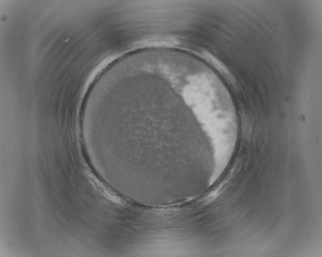 X0000075811240200610151422