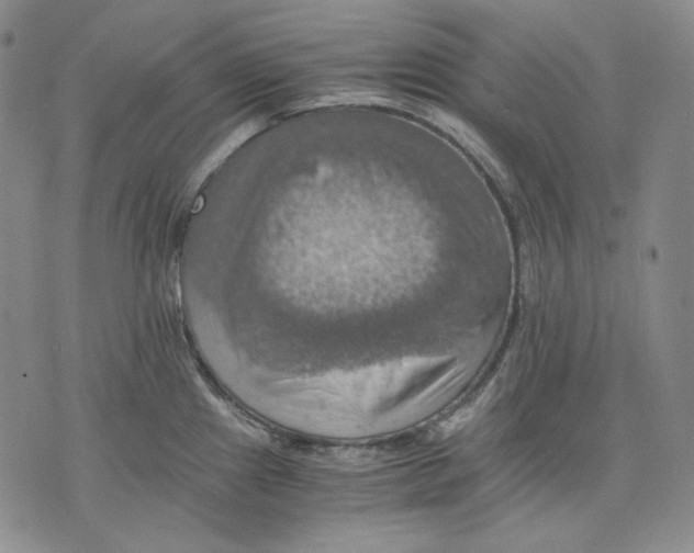 X0000075811241200610151422