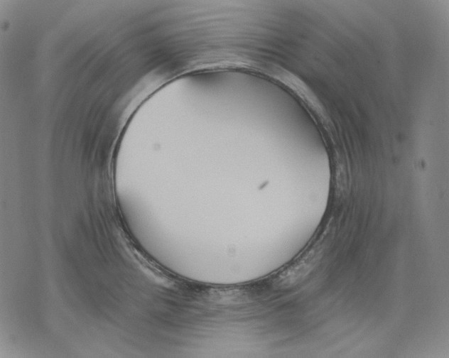 X0000075811242200610151422