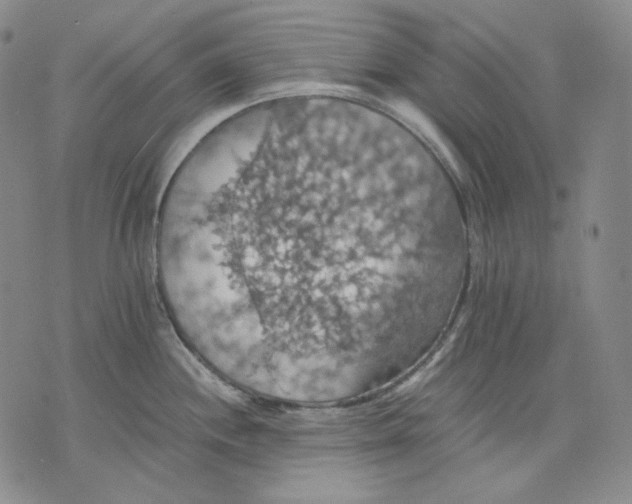 X0000075811244200610151422