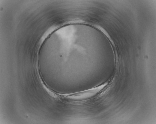 X0000075811245200610151422