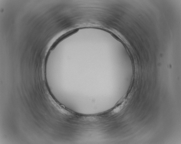 X0000075811246200610151422